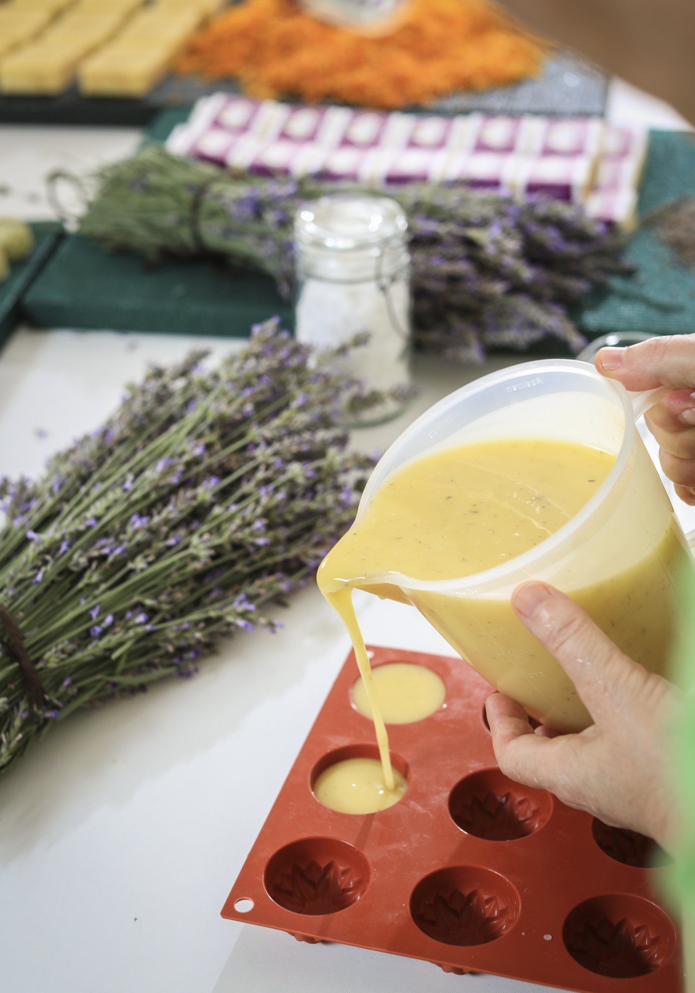 Erlebnismuseum Schönbach