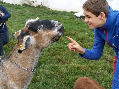 Kindergeburtstag am Bauernhof