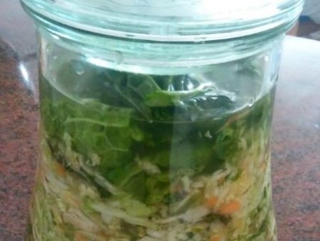 Kurs Fermentieren